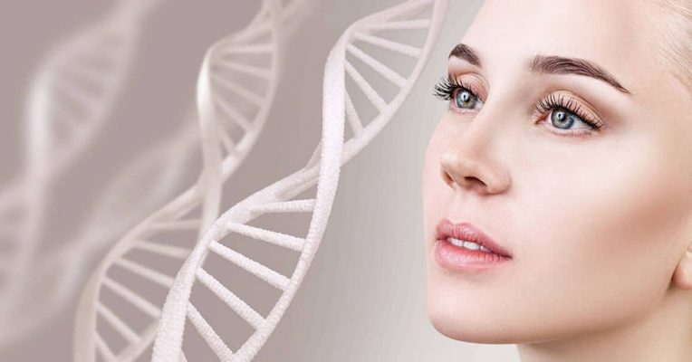 Collagen là thành phần quan trọng quyết định đến vẻ đẹp của làn da