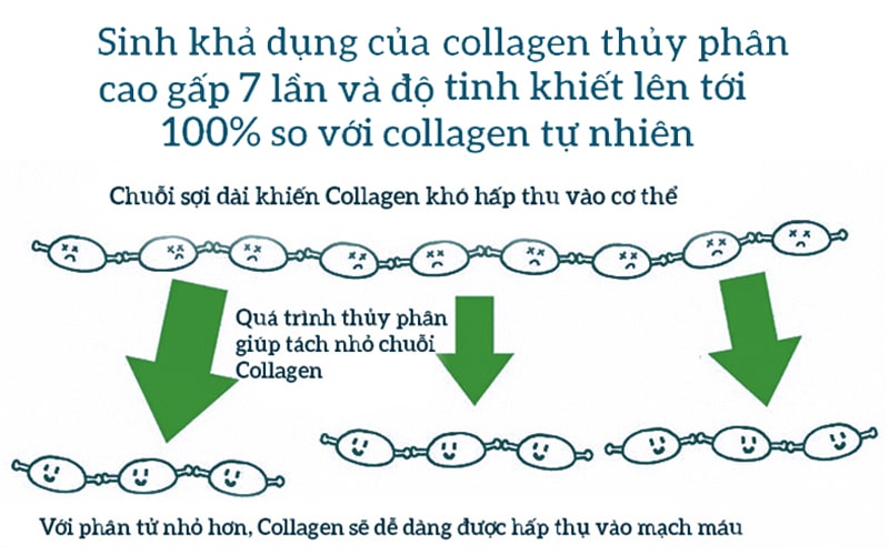 Ưu điểm của collagen thủy phân chiết xuất từ cá biển sâu.