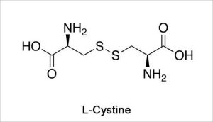 Tác dụng của L-Cystine là vô cùng to lớn
